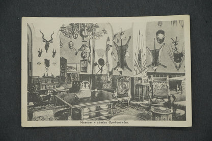 Postcard MUSEUM IN OPOČENSKY CASTLE (x13346)