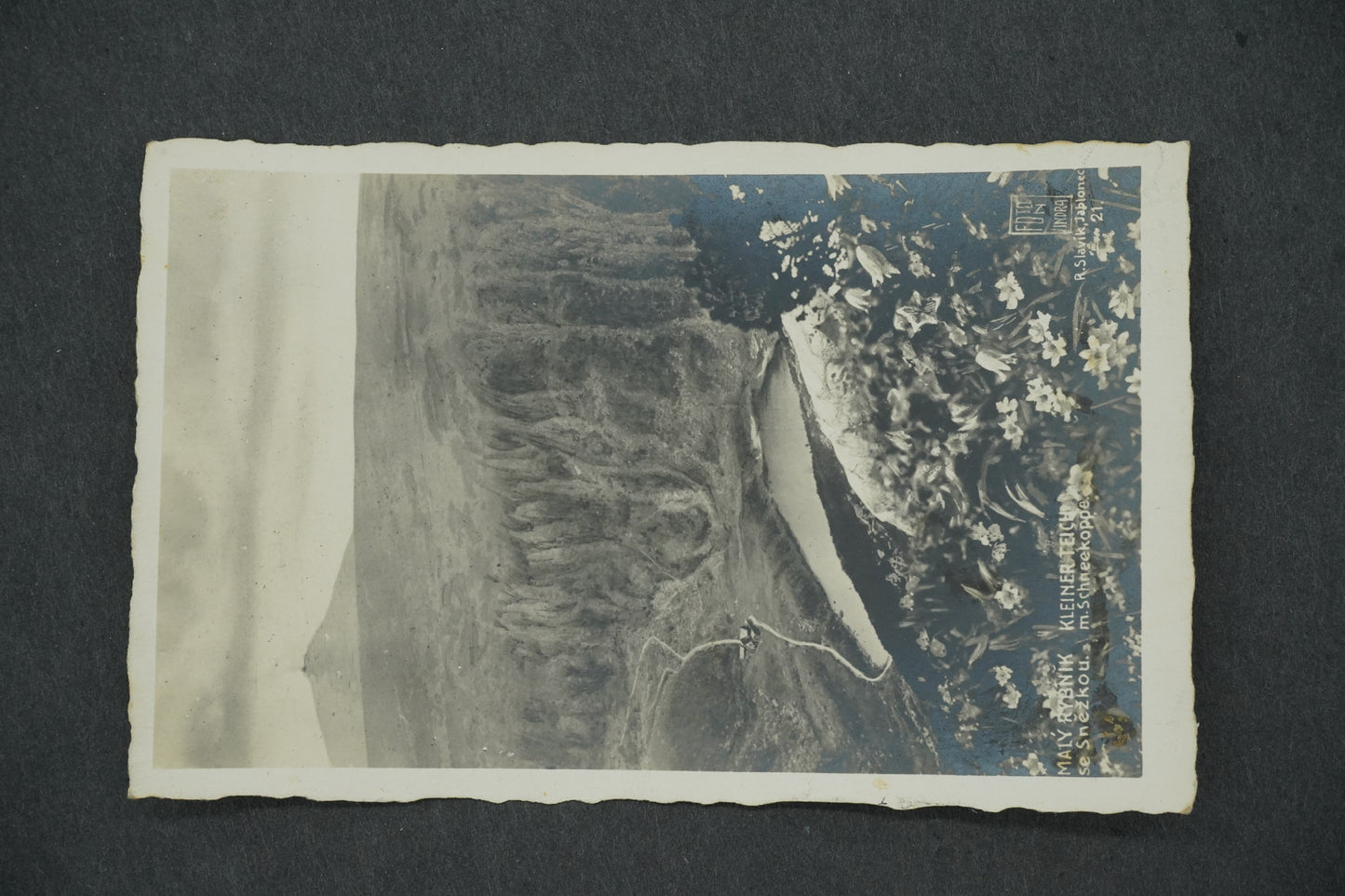 Postcard SMALL POND WITH SNOWFLAKE (x13417)