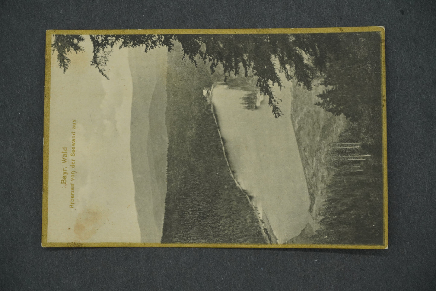 Postcard BAYR. WALD (x13418)