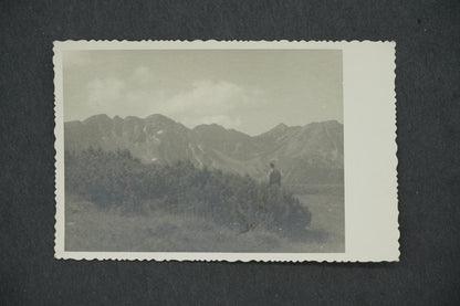 Postcard BOHEMIAN LANDSCAPE (x13453)