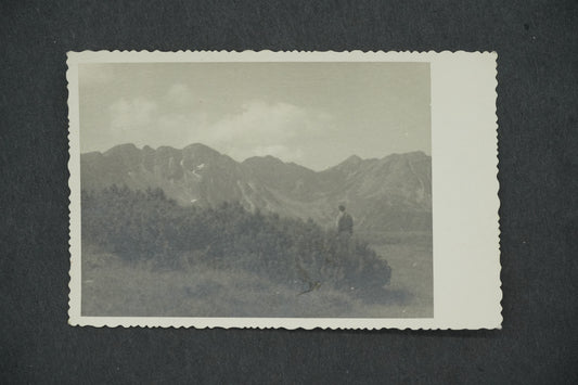 Postcard BOHEMIAN LANDSCAPE (x13453)