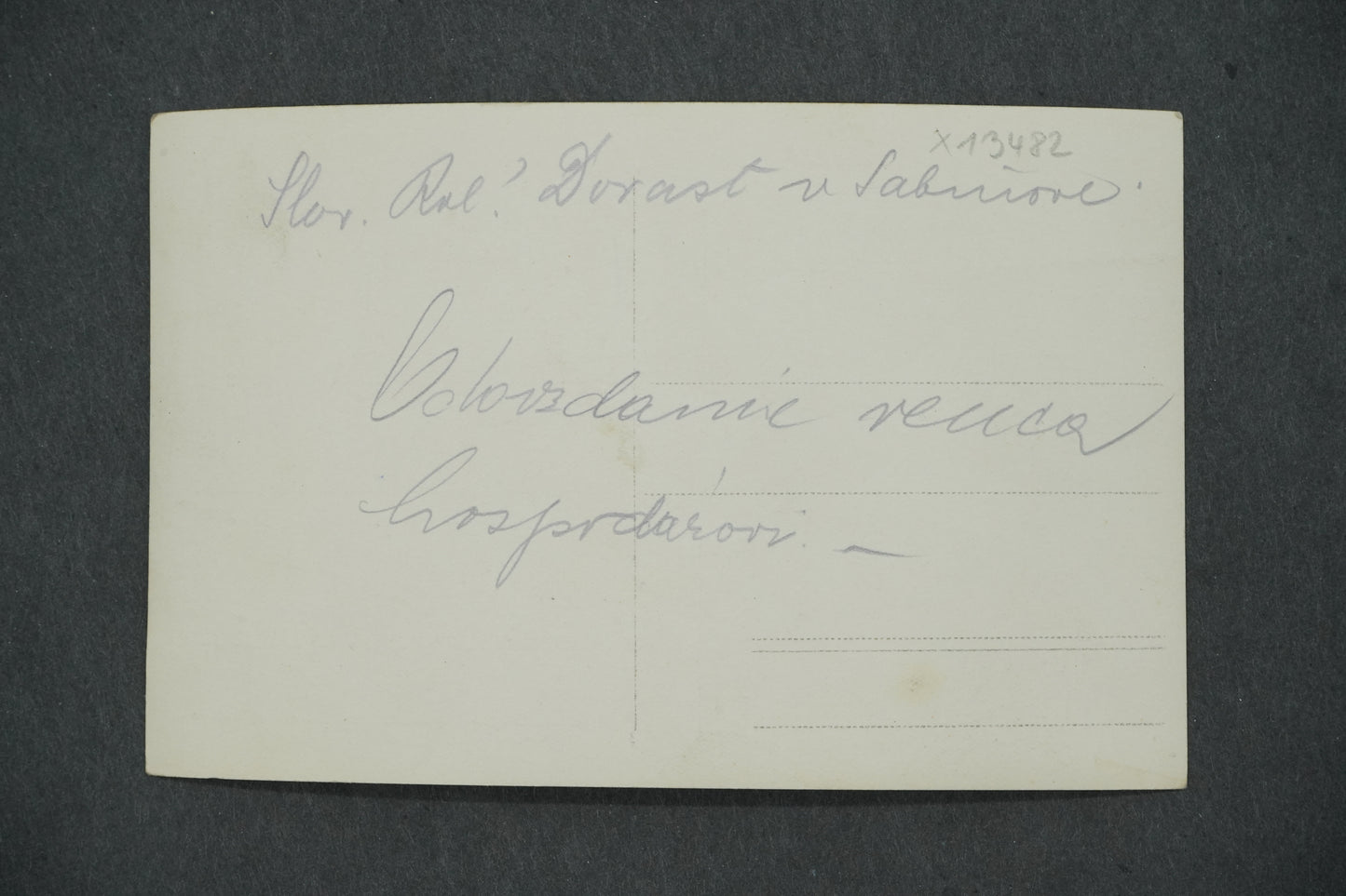 Pohlednice DOROST V SABINOVĚ (x13482)