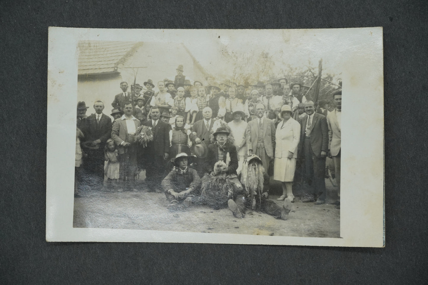 Pohlednice ČESKÁ VESNICE (x13483)