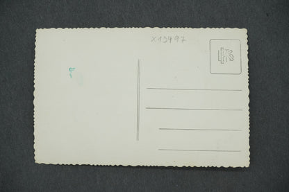 Postcard BOSCH MOUNTAINS (x13497)