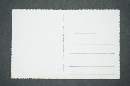 Postcard DOBŘÍŠ (x13508)