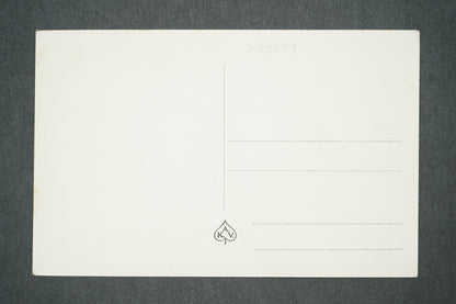 Postcard ŽALOV (x13509)