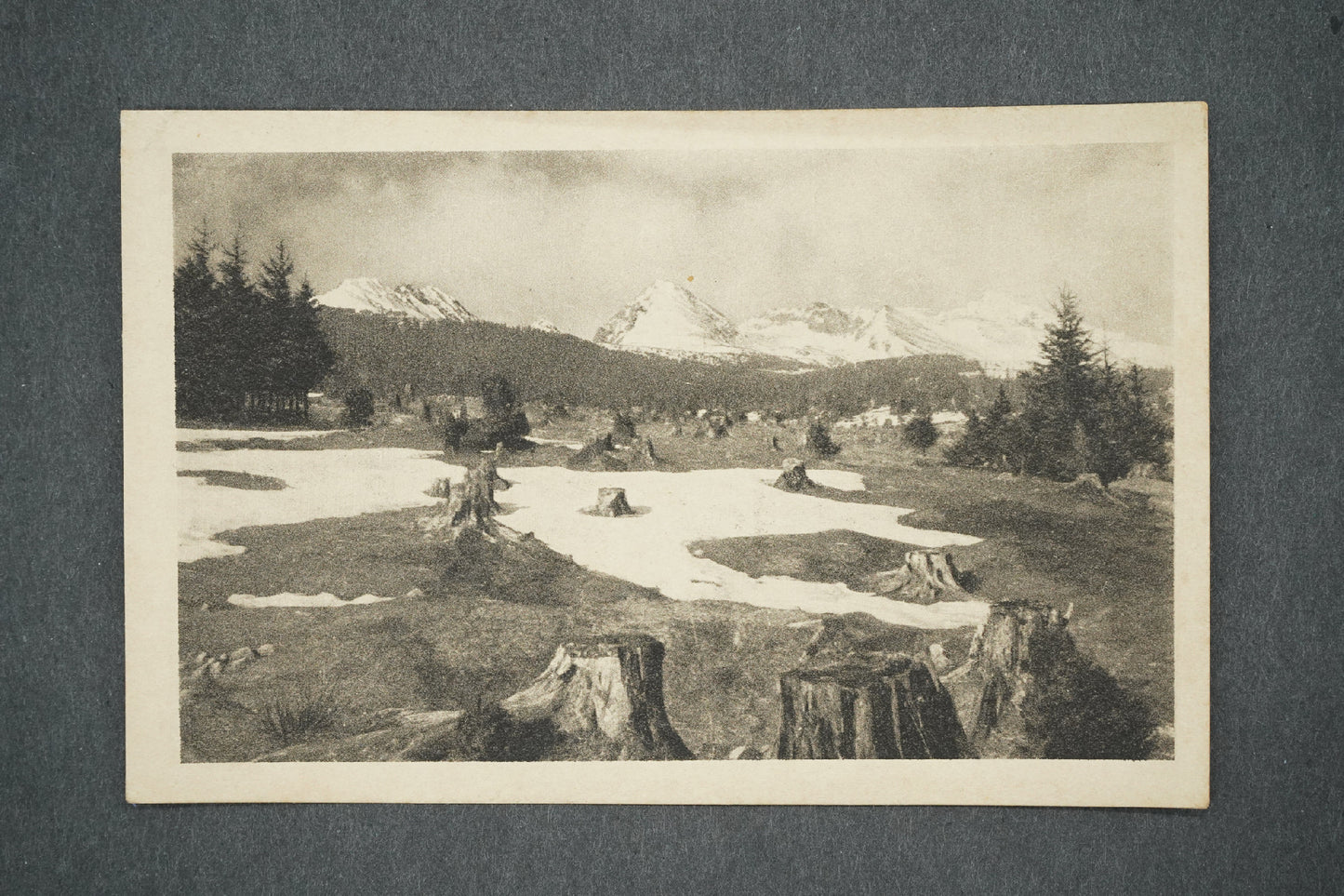 Pohlednice VYSOKÉ TATRY (x13591)