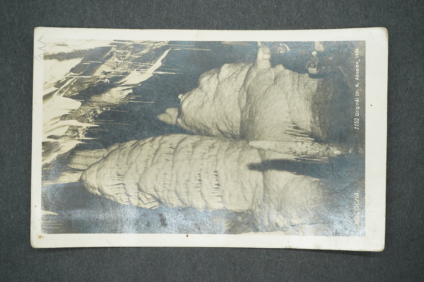 Postcard MACOCHA (x13612)