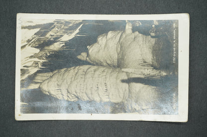 Postcard MACOCHA (x13612)