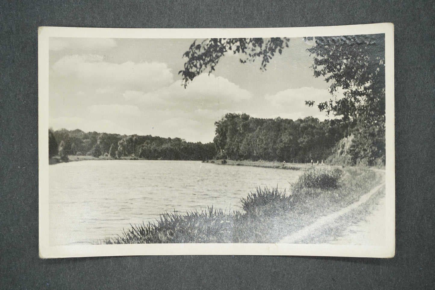 Postcard LOUČOVICE (x13651)