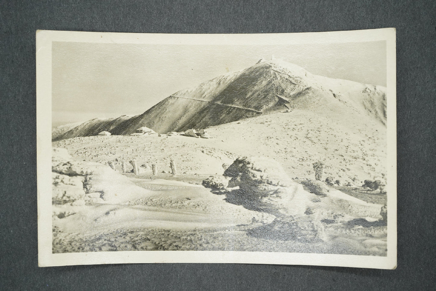 Postcard KRKONOSE - SNOW WHITE (x13653)