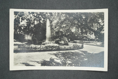 Pohlednice OPAVA (x13663)