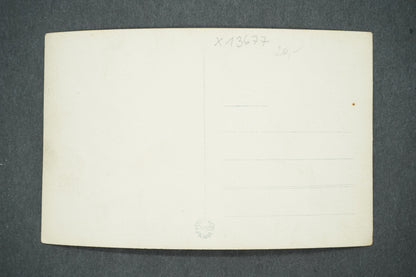 Pohlednice KRKONOŠE - PARTIE BÍLÉHO LABE (x13677)