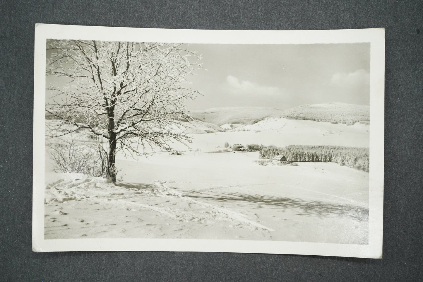 Pohlednice POHLED NA CVIČNOU LOUKU (x13680)