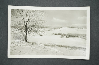 Pohlednice POHLED NA CVIČNOU LOUKU (x13680)