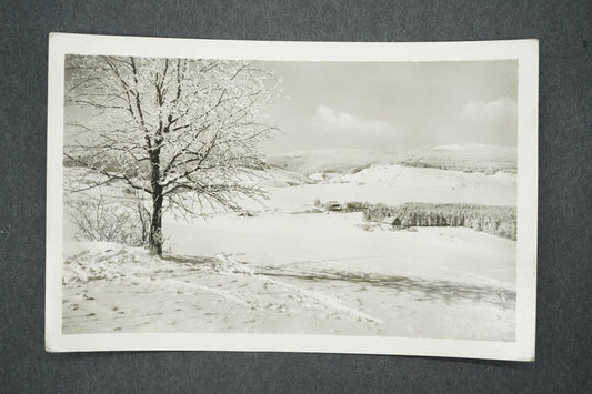 Pohlednice POHLED NA CVIČNOU LOUKU (x13680)
