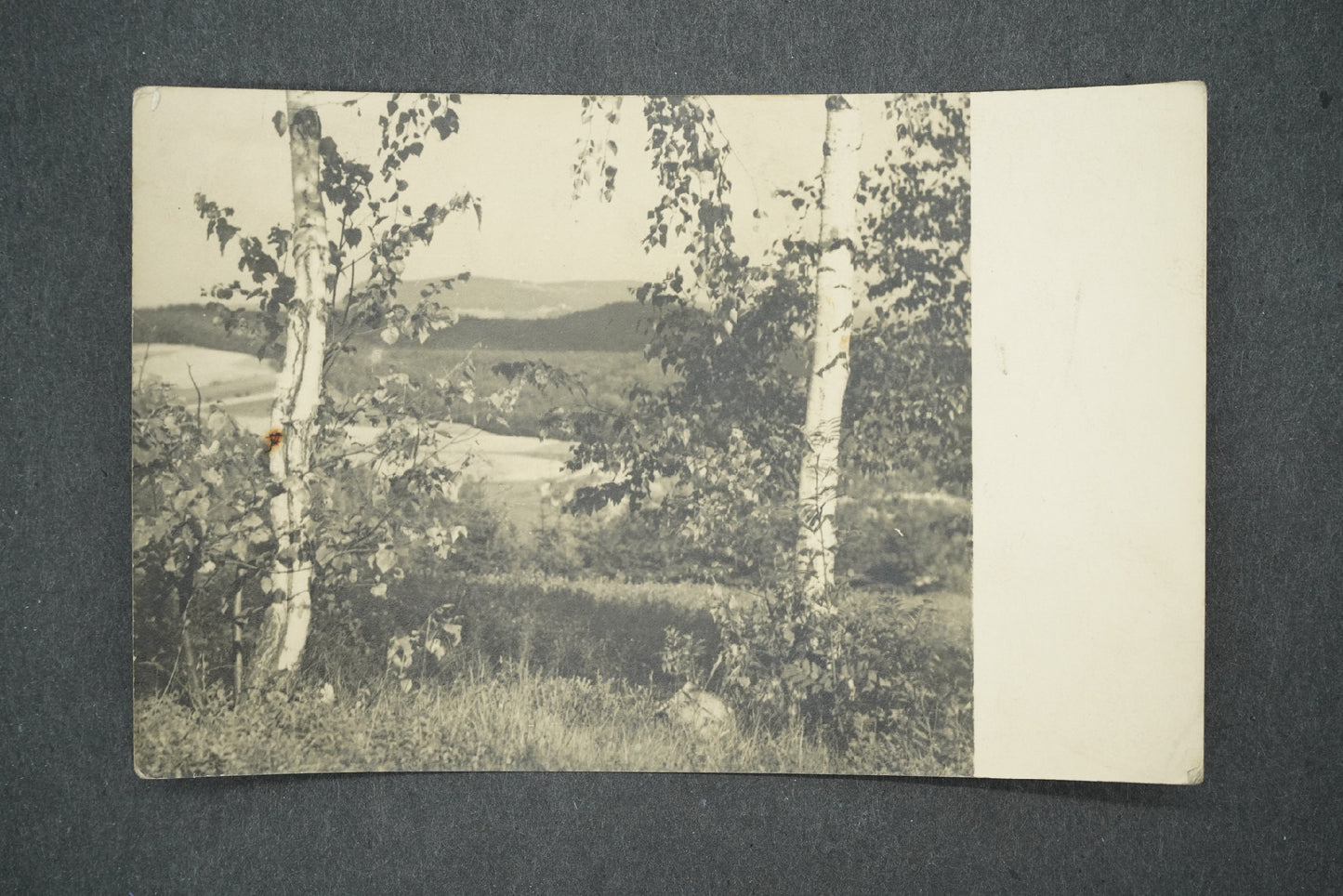 Pohlednice HRONOV (x13685)