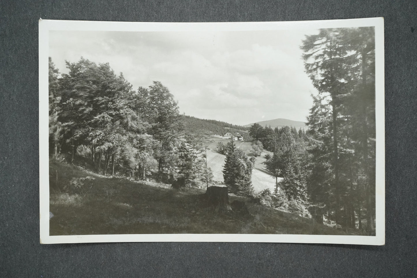 Pohlednice BESKYDY - MARTINÁK (x13687)