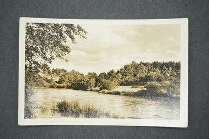 Pohlednice MEZIMOSTÍ NAD NEŽ. PARTIE NA NEŽÁRCE (x13709)