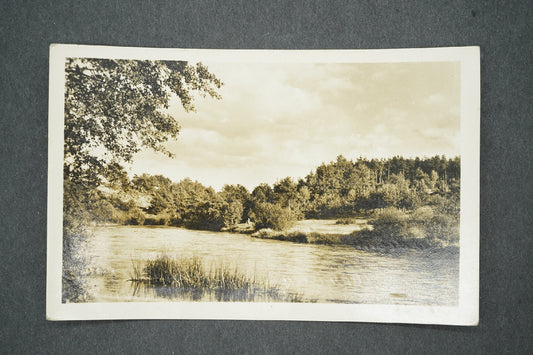 Pohlednice MEZIMOSTÍ NAD NEŽ. PARTIE NA NEŽÁRCE (x13709)