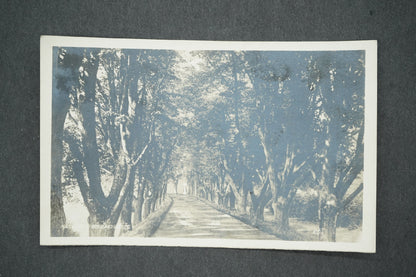 Pohlednice NÁCHOD U BÍLÉHO KŘÍŽE (x13711)