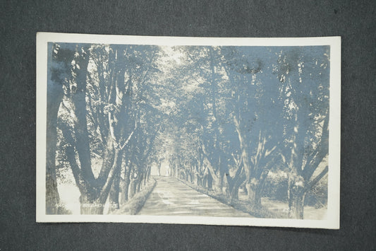 Pohlednice NÁCHOD U BÍLÉHO KŘÍŽE (x13711)