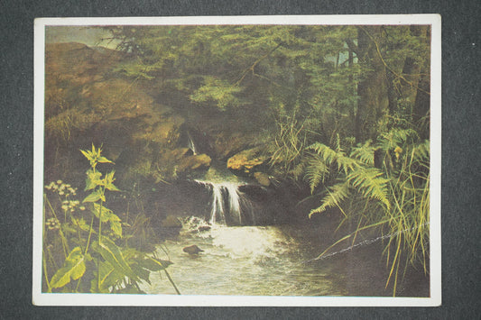 Pohlednice MUNCHEN, HHAUS DER DEUTSCHEN KUNST - WILLY KRIEGEL (x13782)