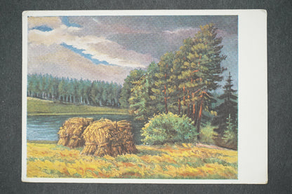 Pohlednice ŽNĚ NA ČESKOMORAVSKÉ VYSOČINĚ PŘED BOUŘÍ (x13824)