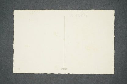 Pohlednice ŠŤASTNÝ NOVÝ ROK (x13874)