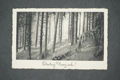 Pohlednice ŠŤASTNÝ NOVÝ ROK (x13874)