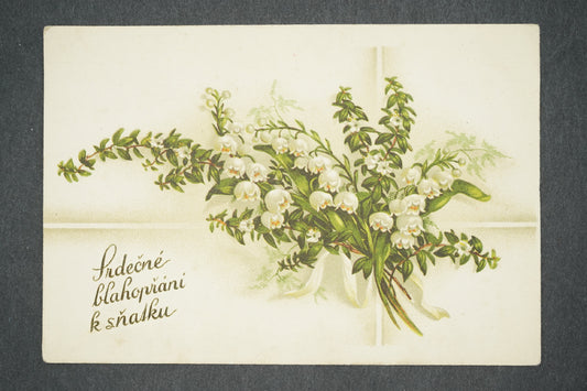 Pohlednice SRDEČNÉ BLAHOPŘÁNÍ K SŇATKU (x13877)