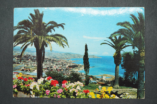 Pohlednice THE FLOWER RIVIERA - SANREMO (x13899)