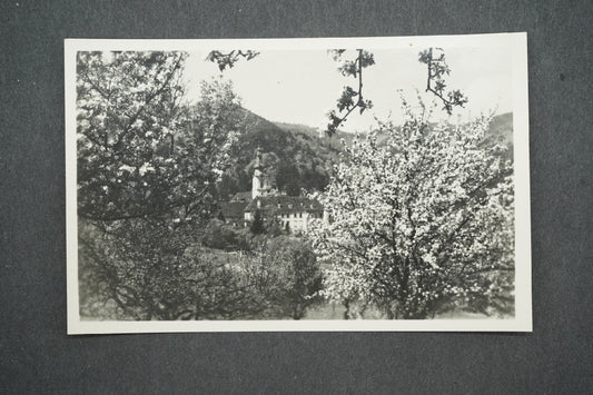Pohlednice REIN BEI GRATWEIN STEIERMARK (x13950)