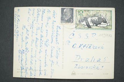 Pohlednice HERZLICHE OSTERGUSE (x13977)