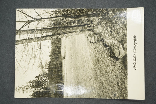 Pohlednice HERZLICHE OSTERGUSE (x13977)