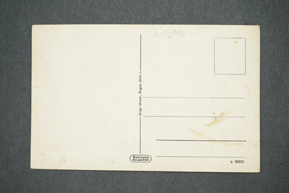 Pohlednice BAYR. WAID ARBERSEE MIT RESTAURANT (x13996)