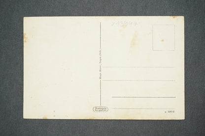 Pohlednice BAYR. WAID PARTIE AM ARBER (x13997)