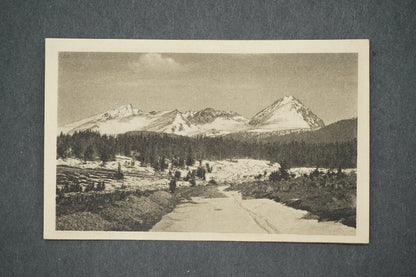 Pohlednice HŘEBEŇ VYSOKÝCH TATIER: KŘIVÁŇ (x14031)