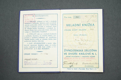 VKLADNÍ KNÍŽKA ŽIVNOSTENSKÁ ZÁLOŽNA VE DVOŘE KRÁLOVÉ N.L. (x14991)