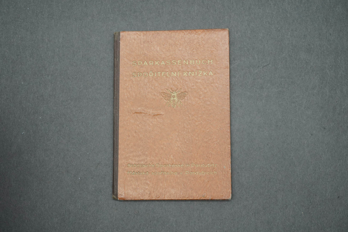 SPOŘITELNÍ KNÍŽKA (x15025)