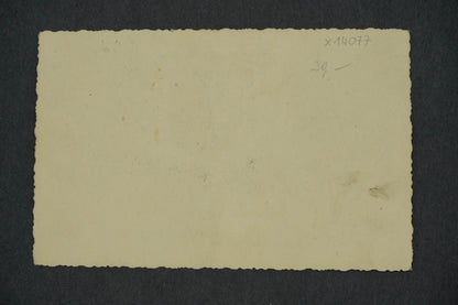 Pohlednice ČESKÝ ZÁMEK (x14077)
