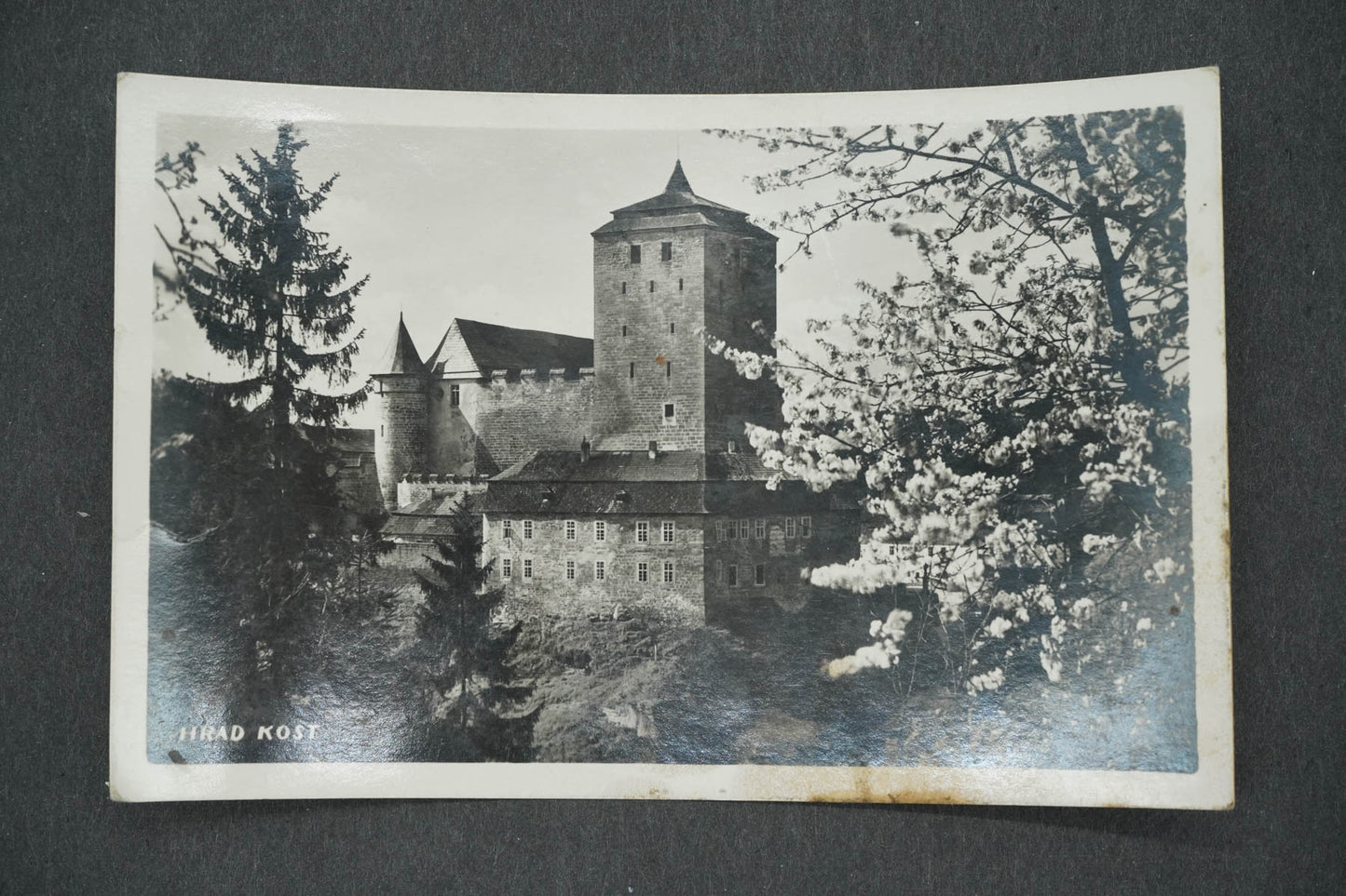 Pohlednice HRAD KOST (x14257)