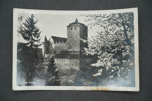 Pohlednice HRAD KOST (x14257)