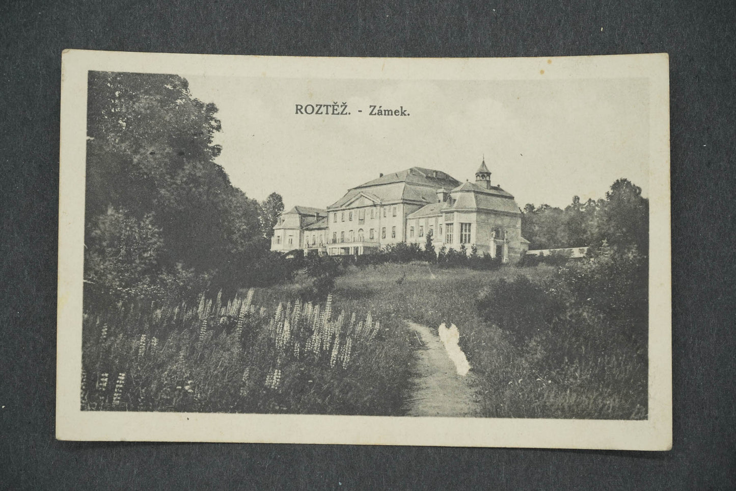 Pohlednice ROZTĚŽ - ZÁMEK (x14263)