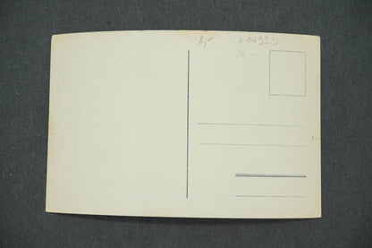 Pohlednice HRUBÁ SKÁLA - VCHOD DO ZÁMKU AERNTALSKÉHO (x14323)