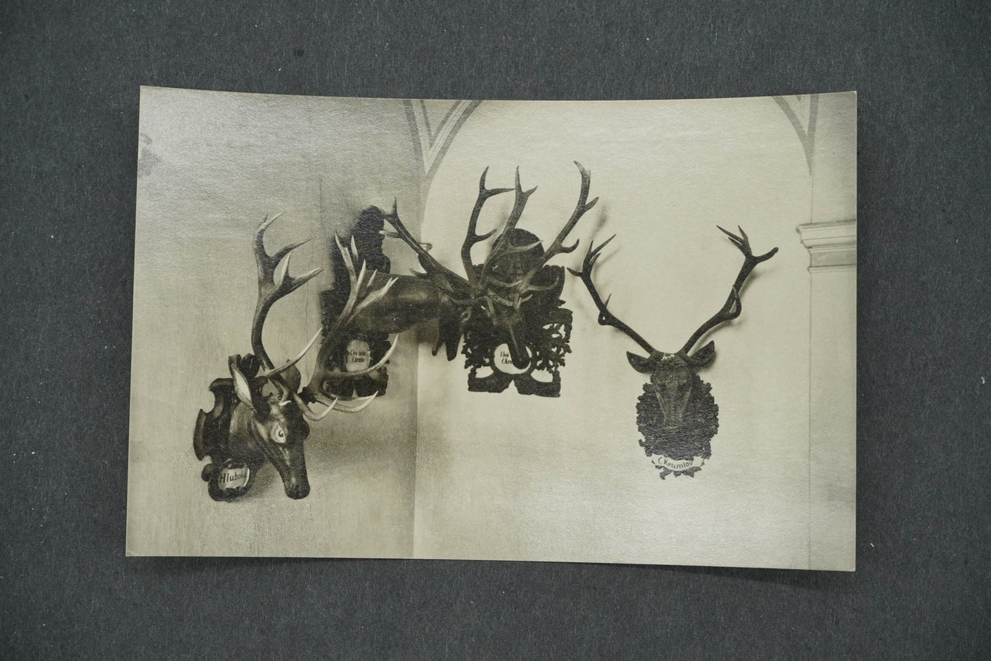 Pohlednice HLUBOKÁ NAD VLTAVOU - ZÁMEK OHRADA LOVECKÉ SBÍRKY (x14341)