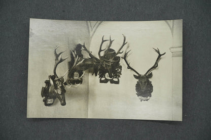 Pohlednice HLUBOKÁ NAD VLTAVOU - ZÁMEK OHRADA LOVECKÉ SBÍRKY (x14341)