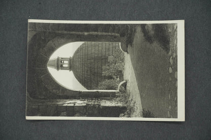 Pohlednice ZŘÍCENINA HRADU POTŠTEJNA. (x14388)