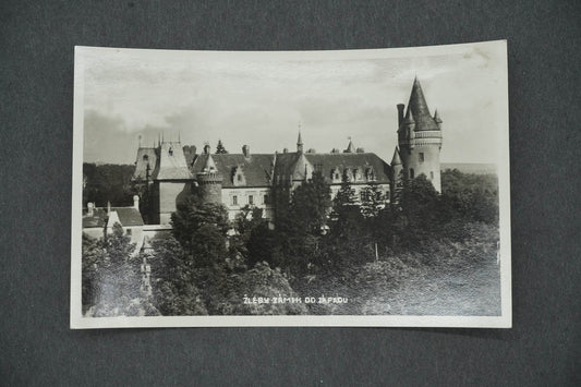 Pohlednice ŽLEBY ZÁMEK OD ZÁPADU (x14420)