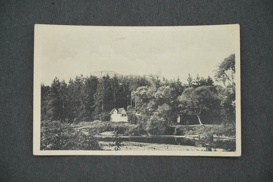 Pohlednice HRAD. BUBEN (x14435)